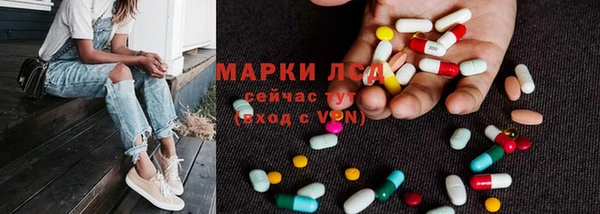 ПСИЛОЦИБИНОВЫЕ ГРИБЫ Медвежьегорск