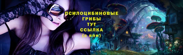 ПСИЛОЦИБИНОВЫЕ ГРИБЫ Медвежьегорск