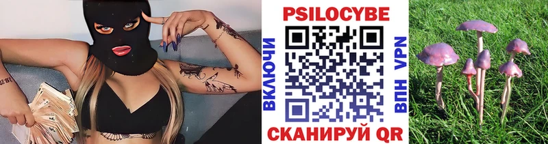 Галлюциногенные грибы Psilocybe  Купить где  Уварово 